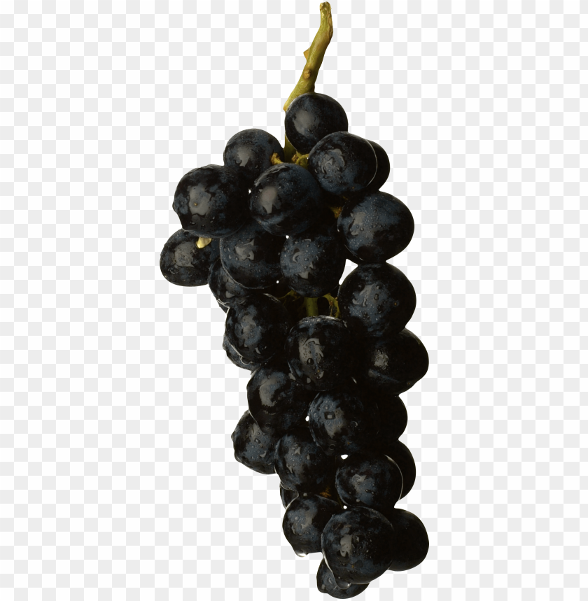 
grape
, 
berry
, 
grapes
, 
fruit
, 
black grapes
