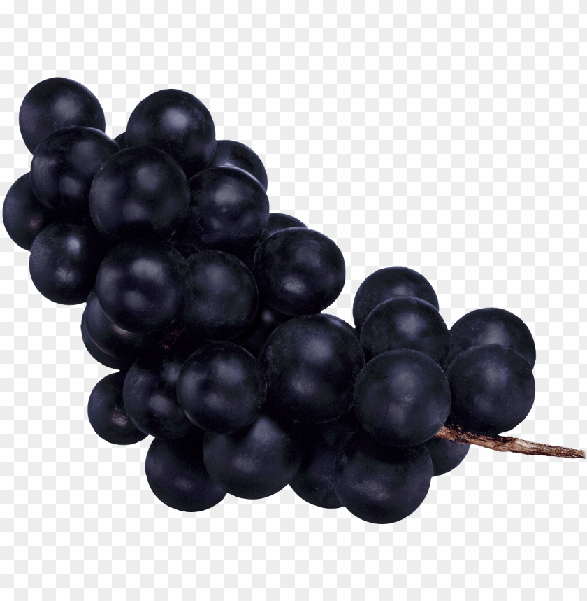 
grape
, 
berry
, 
grapes
, 
fruit
, 
black grapes
