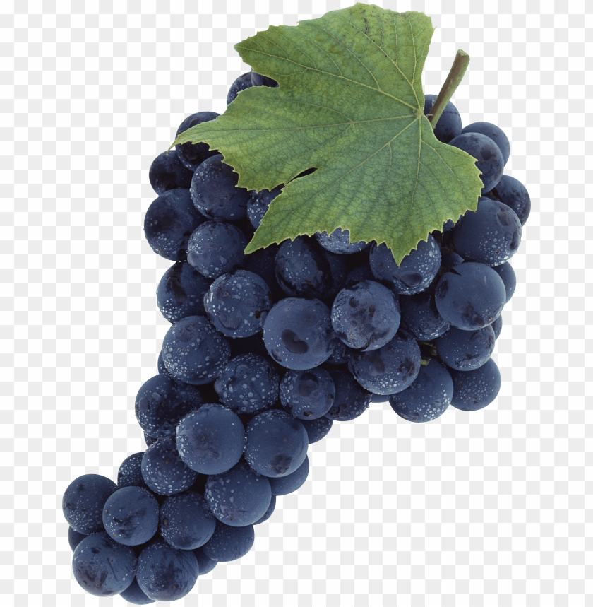 
grape
, 
berry
, 
grapes
, 
fruit
, 
black grapes
