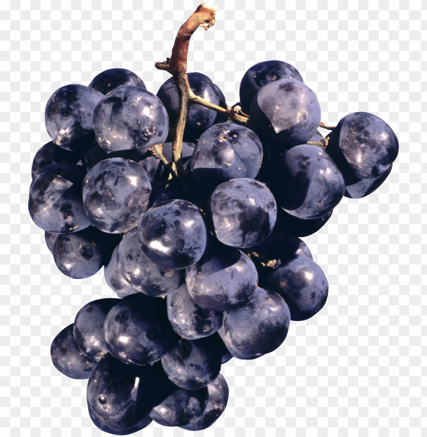 
grape
, 
berry
, 
grapes
, 
fruit
, 
black grapes
