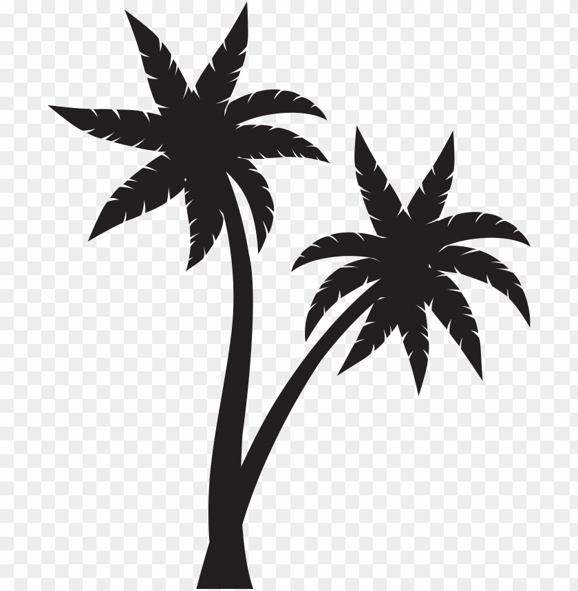 food, web, trees, technology, palm tree, internet, flower