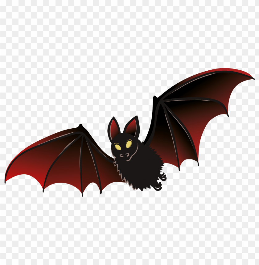 animals, bats, black red bat, 