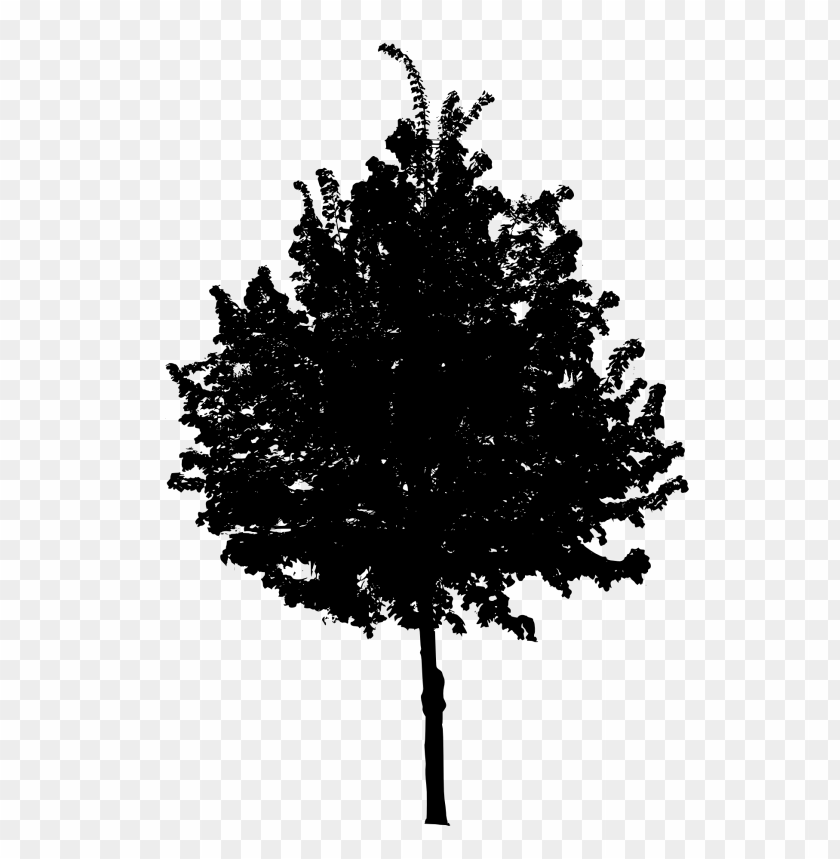 trees, wood, forest, nature,pngtree,treepng,free tree png