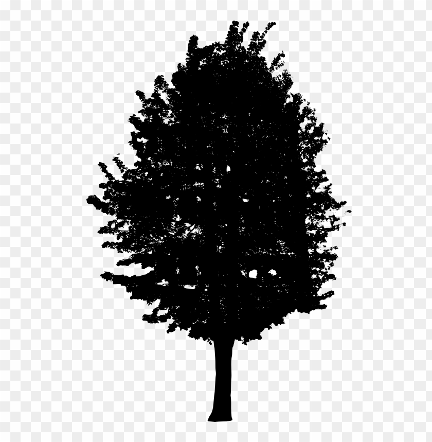 trees, wood, forest, nature,pngtree,treepng,free tree png