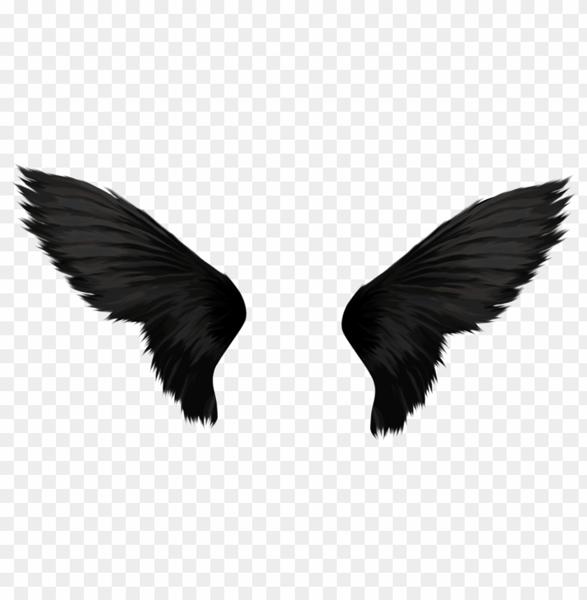 Black wings PNG, feathers, pair, spread