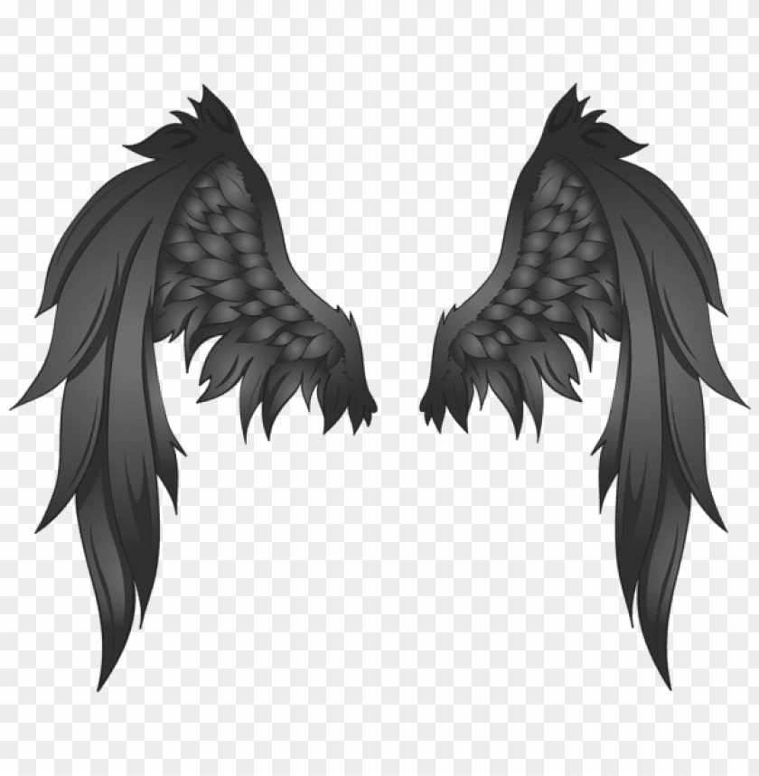 black wings