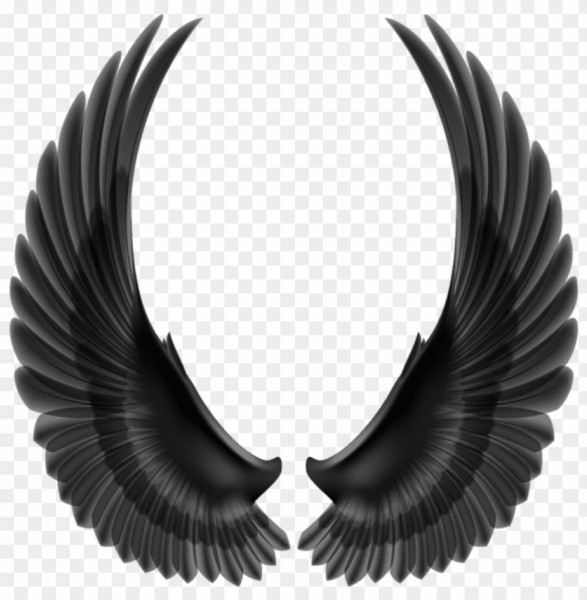 black wings