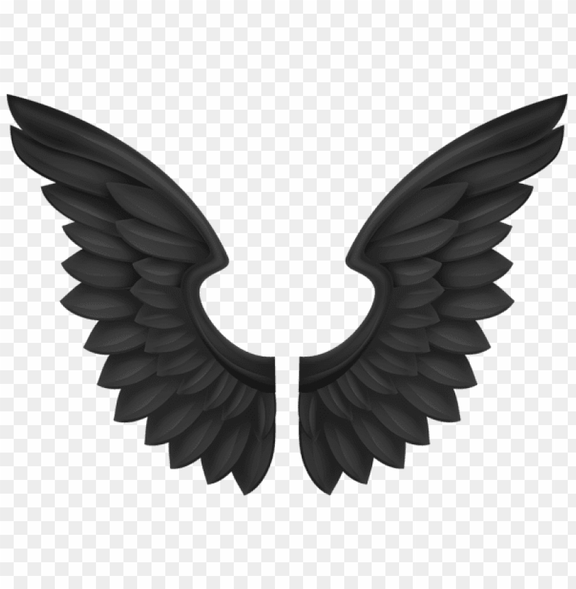 black wings transparent