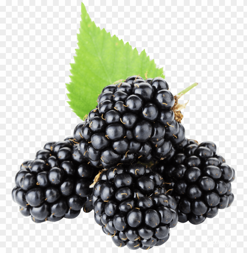 
hybrids
, 
blackberry
, 
rubus subgenus
, 
food
, 
fruit
