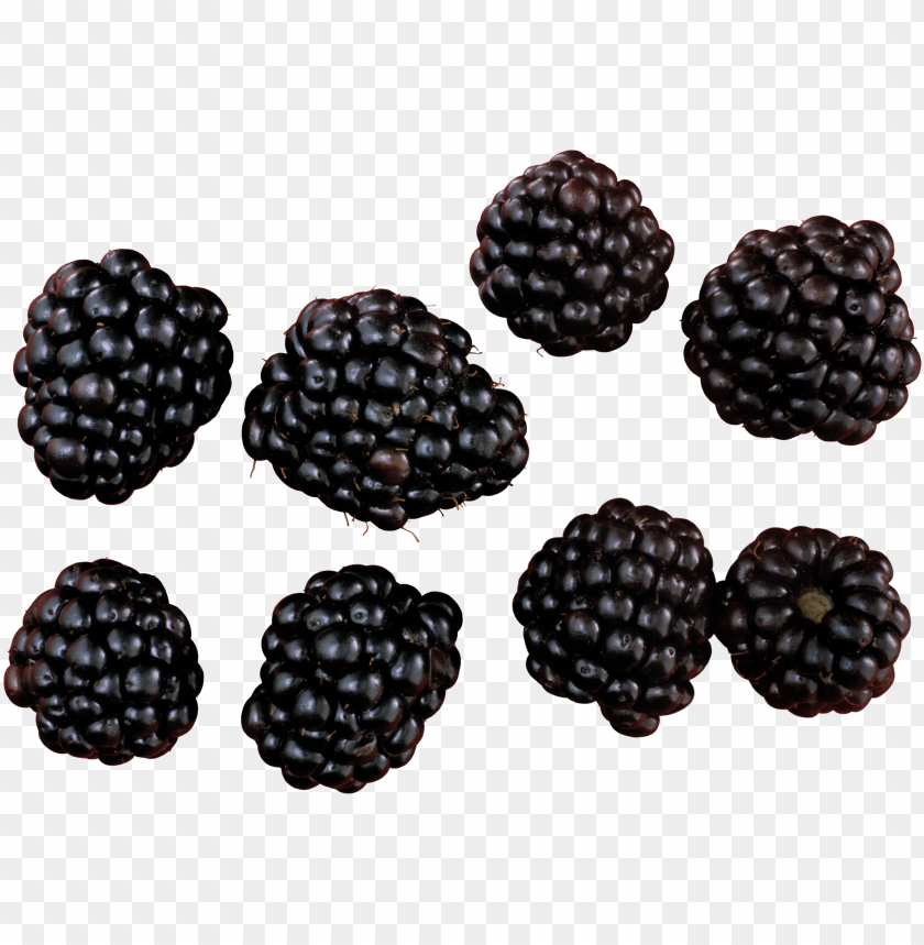 
hybrids
, 
blackberry
, 
rubus subgenus
, 
food
, 
fruit
