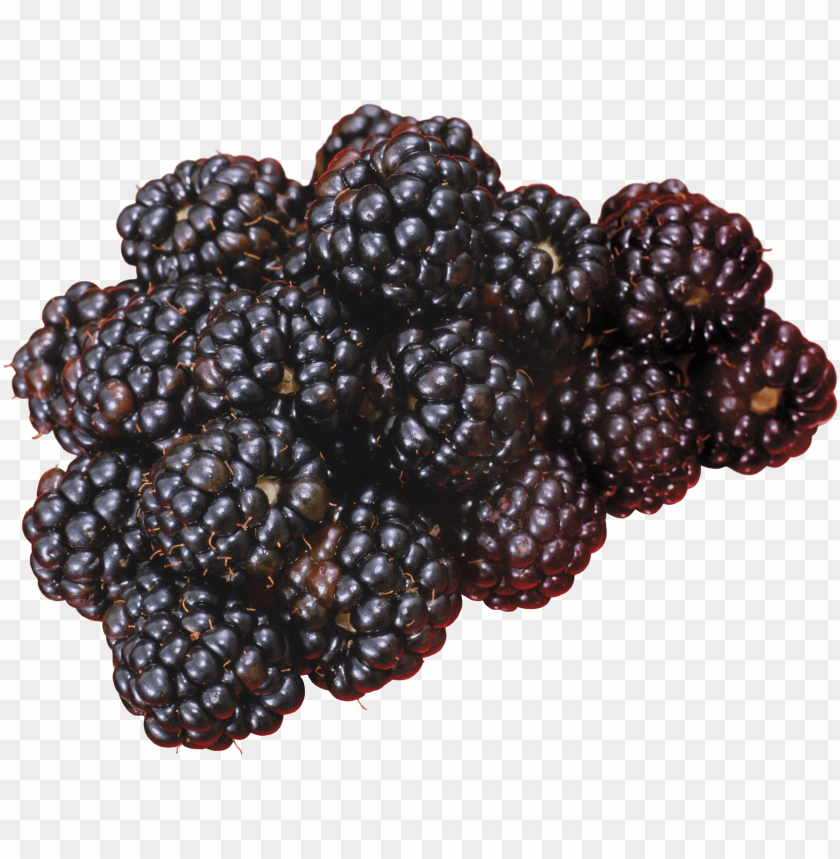 
hybrids
, 
blackberry
, 
rubus subgenus
, 
food
, 
fruit
