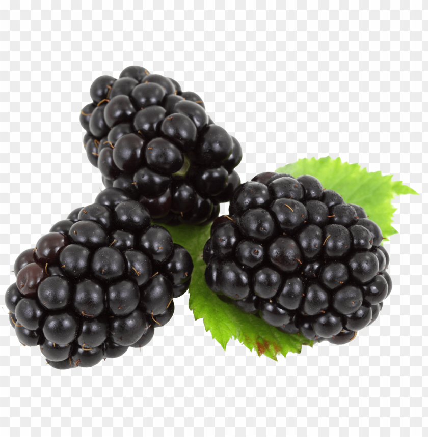 
hybrids
, 
blackberry
, 
rubus subgenus
, 
food
, 
fruit
