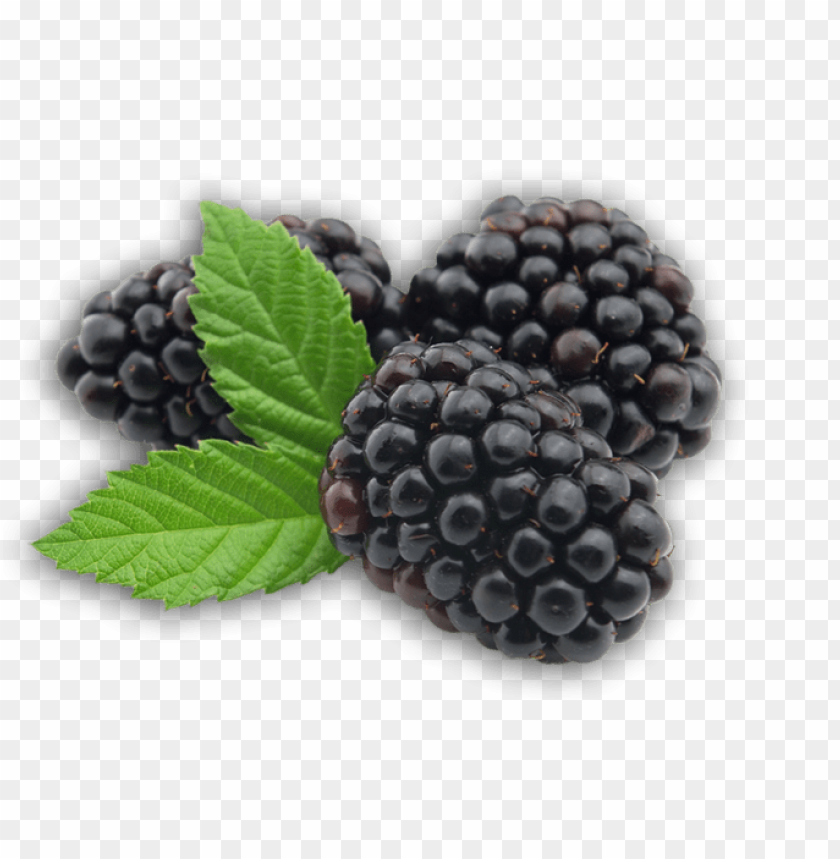 
hybrids
, 
blackberry
, 
rubus subgenus
, 
food
, 
fruit
