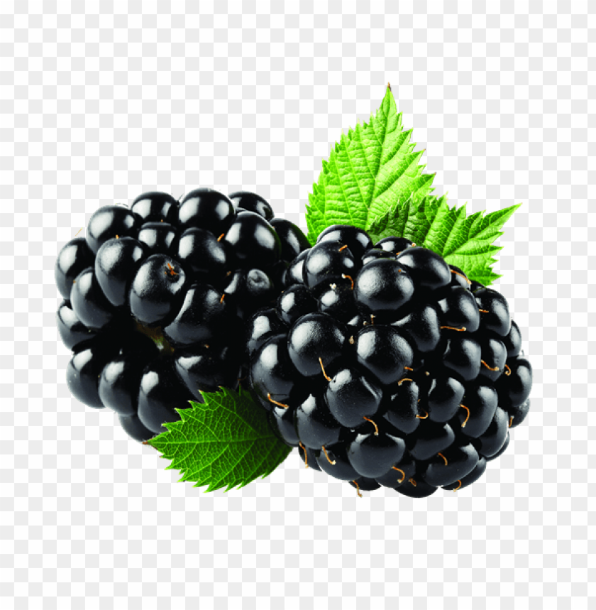 
hybrids
, 
blackberry
, 
rubus subgenus
, 
food
, 
fruit
