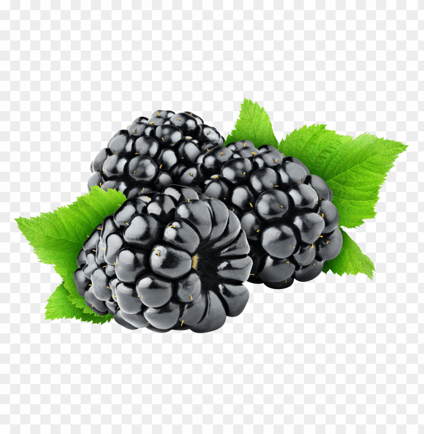 
hybrids
, 
blackberry
, 
rubus subgenus
, 
food
, 
fruit
