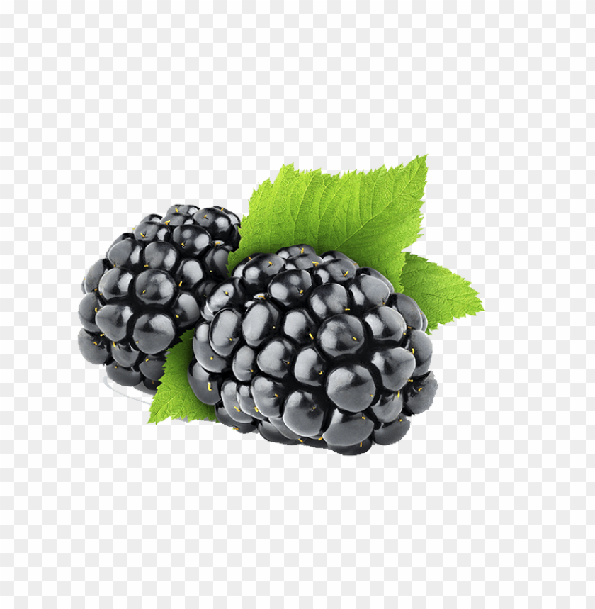 
hybrids
, 
blackberry
, 
rubus subgenus
, 
food
, 
fruit
