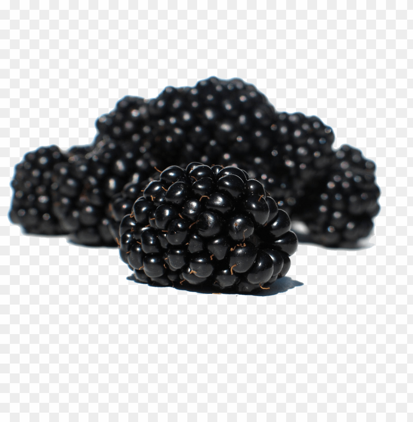 
hybrids
, 
blackberry
, 
rubus subgenus
, 
food
, 
fruit
