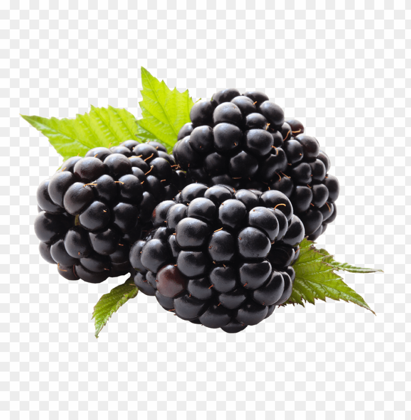 
hybrids
, 
blackberry
, 
rubus subgenus
, 
food
, 
fruit
