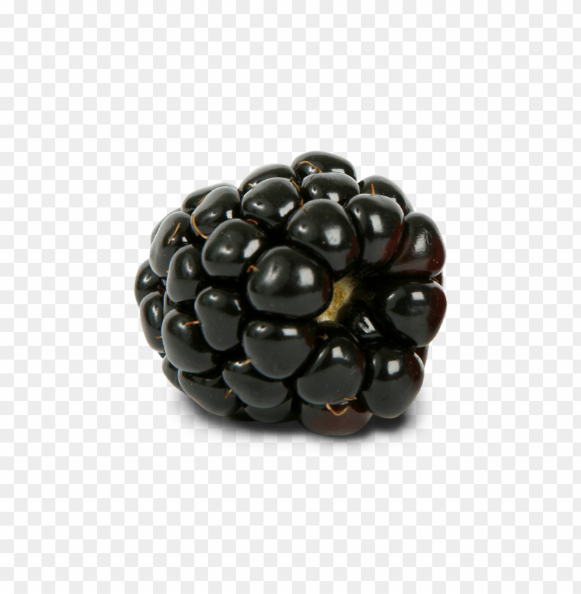 
hybrids
, 
blackberry
, 
rubus subgenus
, 
food
, 
fruit
