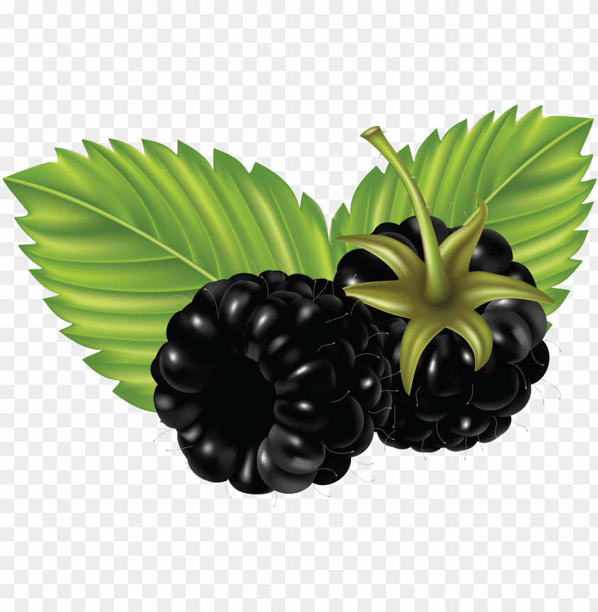 
hybrids
, 
blackberry
, 
rubus subgenus
, 
food
, 
fruit
