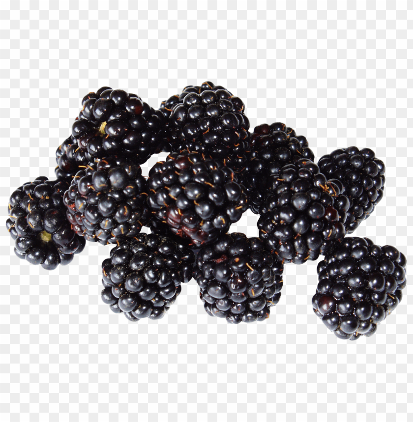 fruits, berry, berries, blackberries, blackberry