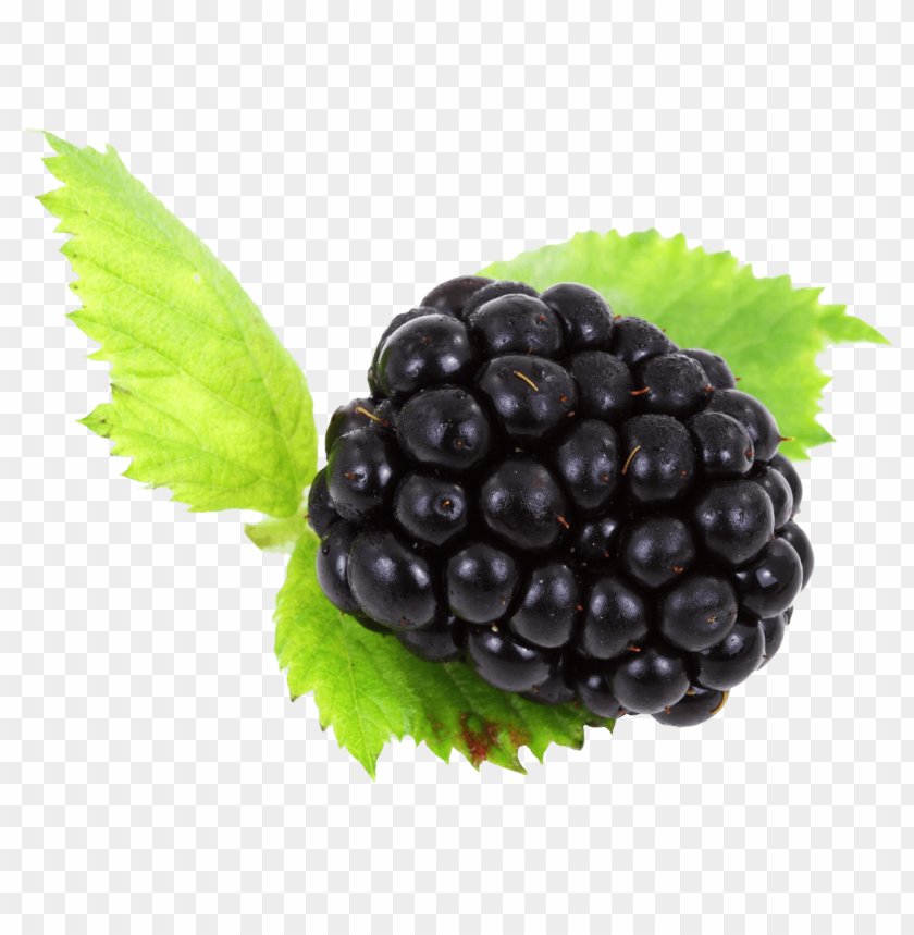 fruits, berry, berries, blackberries, blackberry