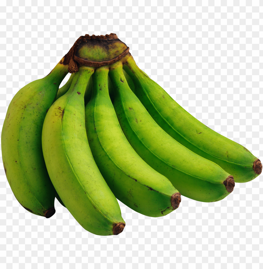 
banana
, 
banana's
, 
yellow banana
, 
botanically a berry
, 
edible fruit
, 
herbaceous
, 
genus musa
