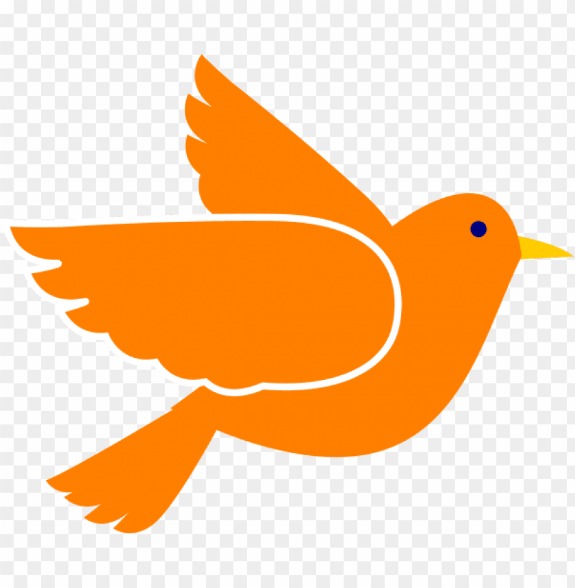 phoenix bird, twitter bird logo, big bird, bird wings, flappy bird pipe, bird