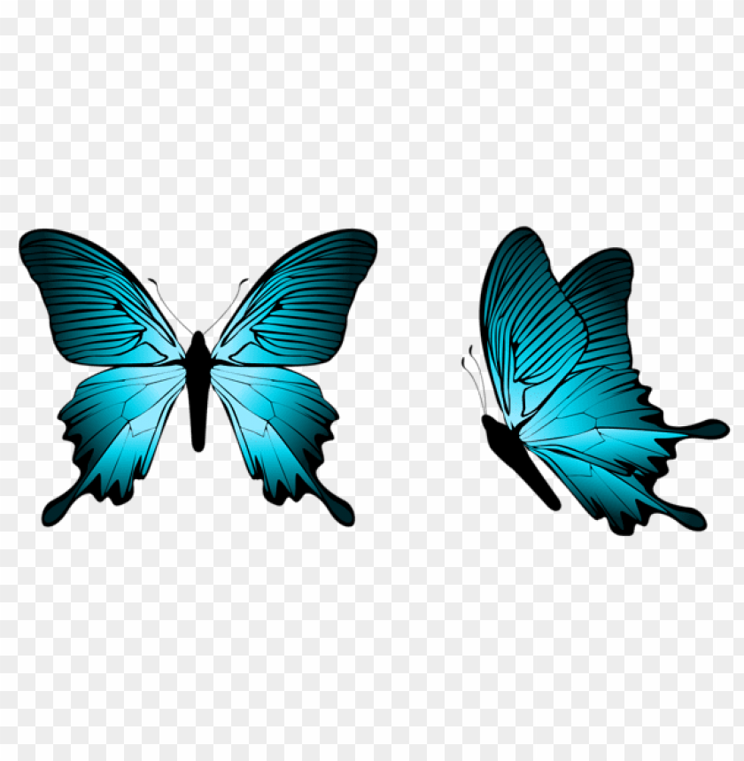 butterflies ,butterfly ,moth ,tortoiseshell