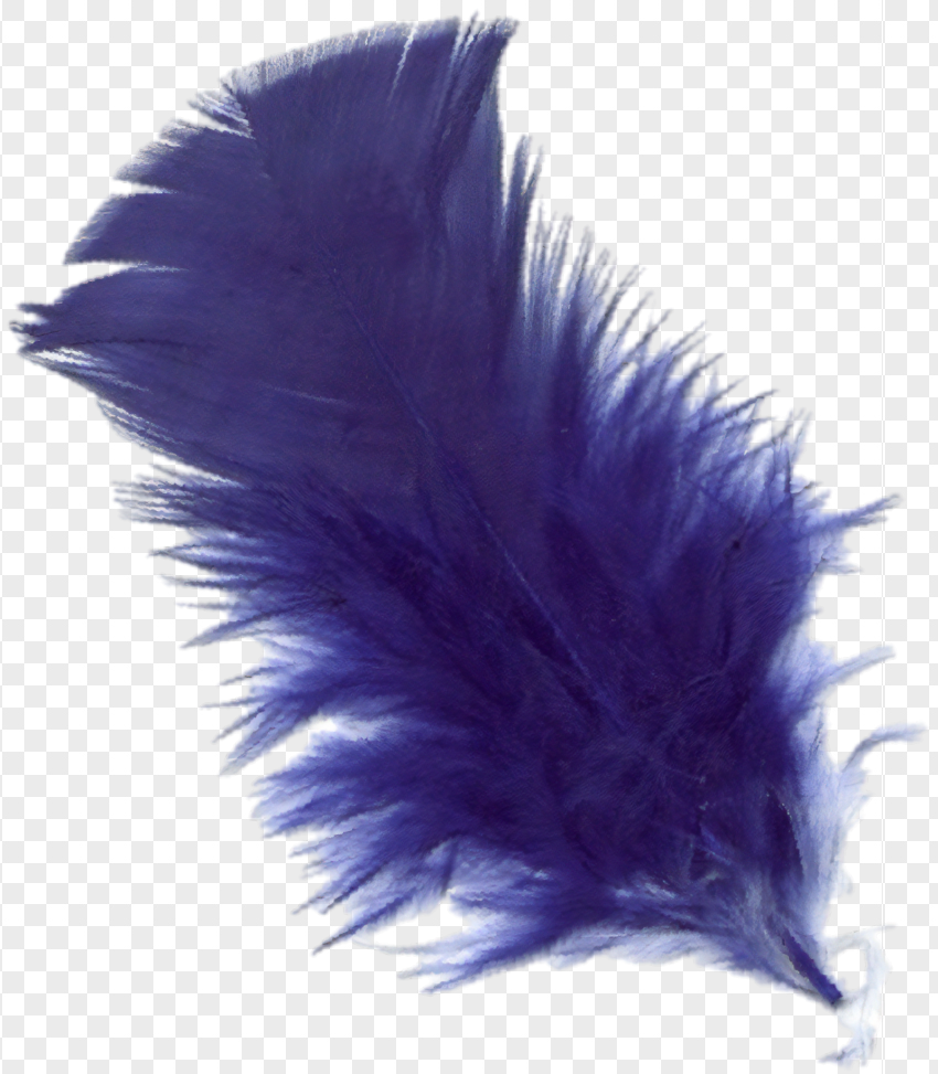 Feather, Dark Blue Feather PNG,