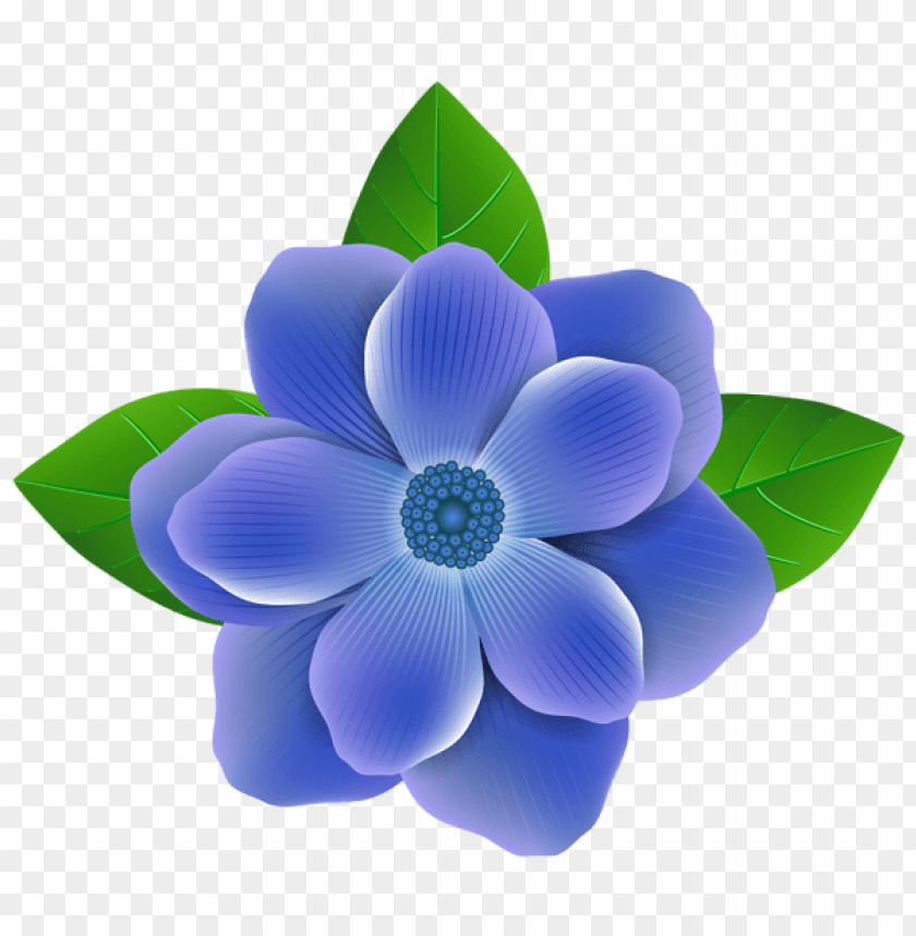 blue flower