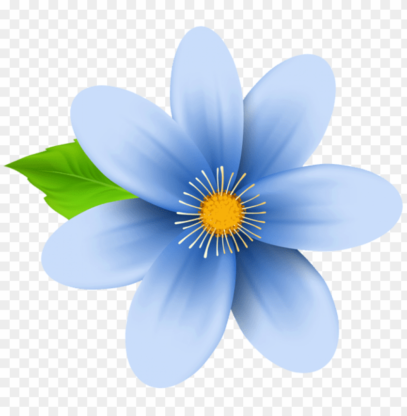 blue flower