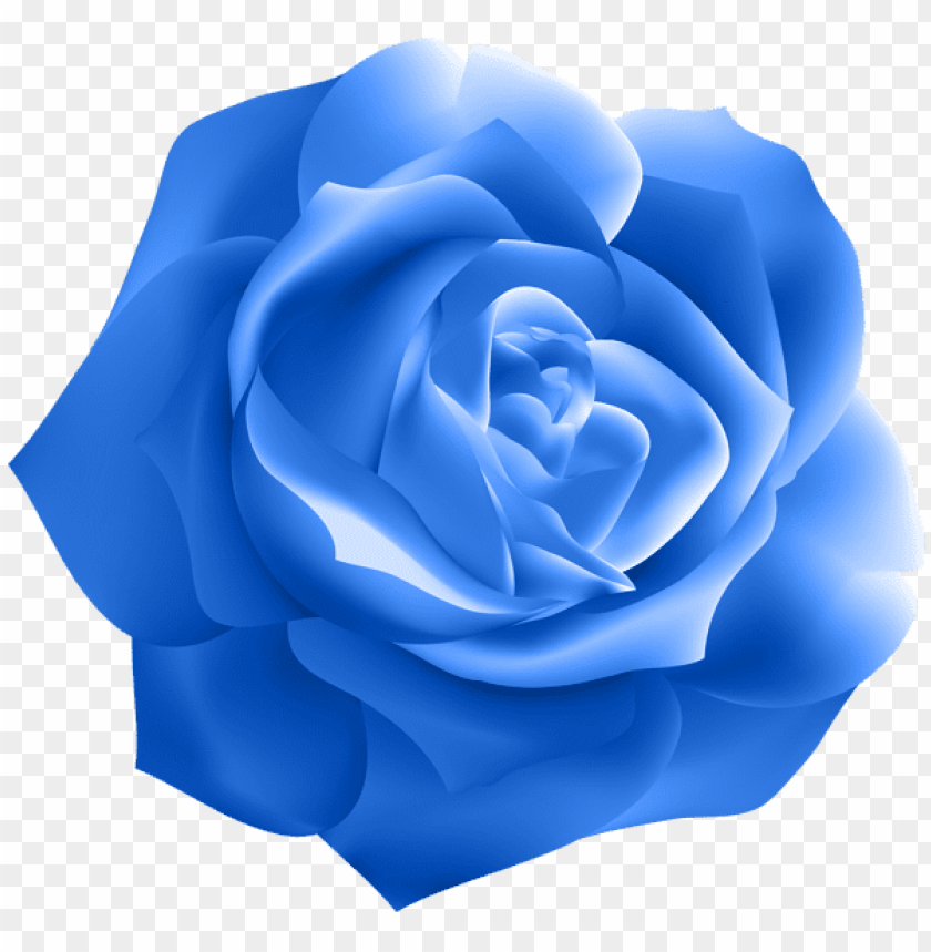 blue rose deco