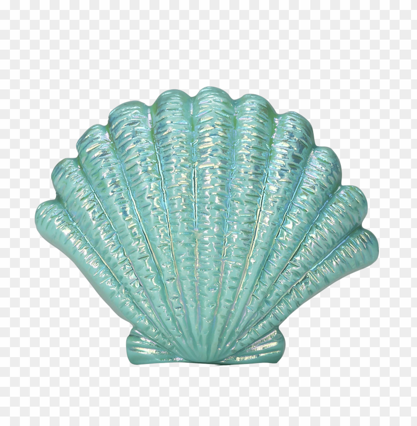 
seashell
, 
shell
, 
blue shell
