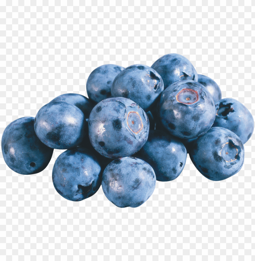 
blueberries
, 
flowering plants
, 
indigo
, 
berries
, 
cyanococcus
