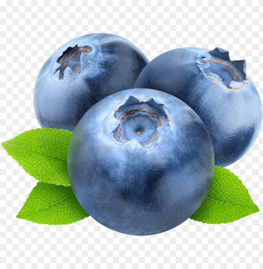 Blueberries, Antioxidants, Nutrition, Berry Recipes, Health Benefits