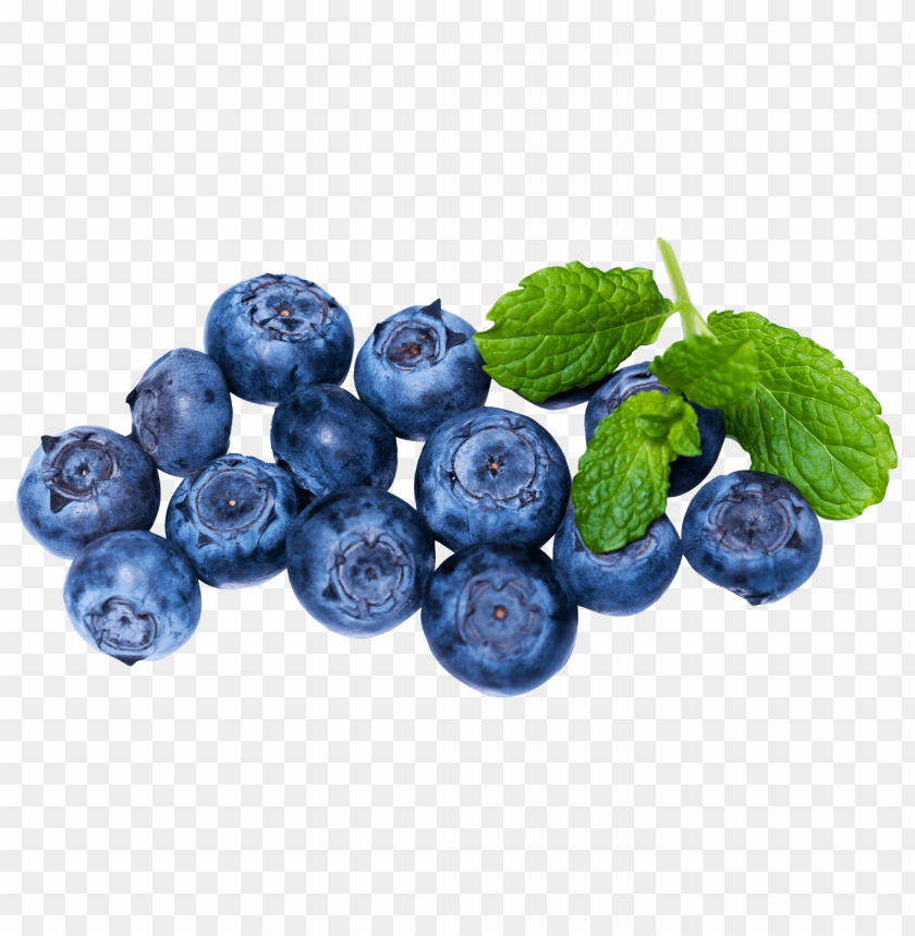 Blueberries, Health benefits, Recipes, Nutritional value, Antioxidants