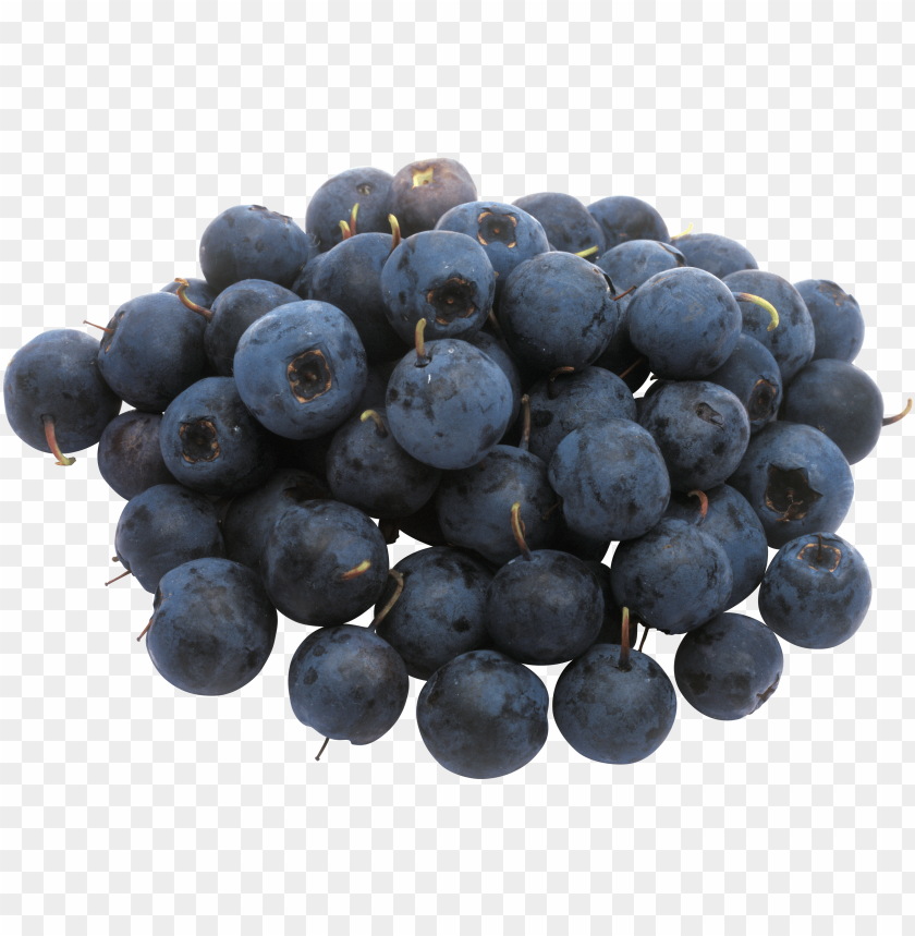 
blueberries
, 
flowering plants
, 
indigo
, 
berries
, 
cyanococcus
