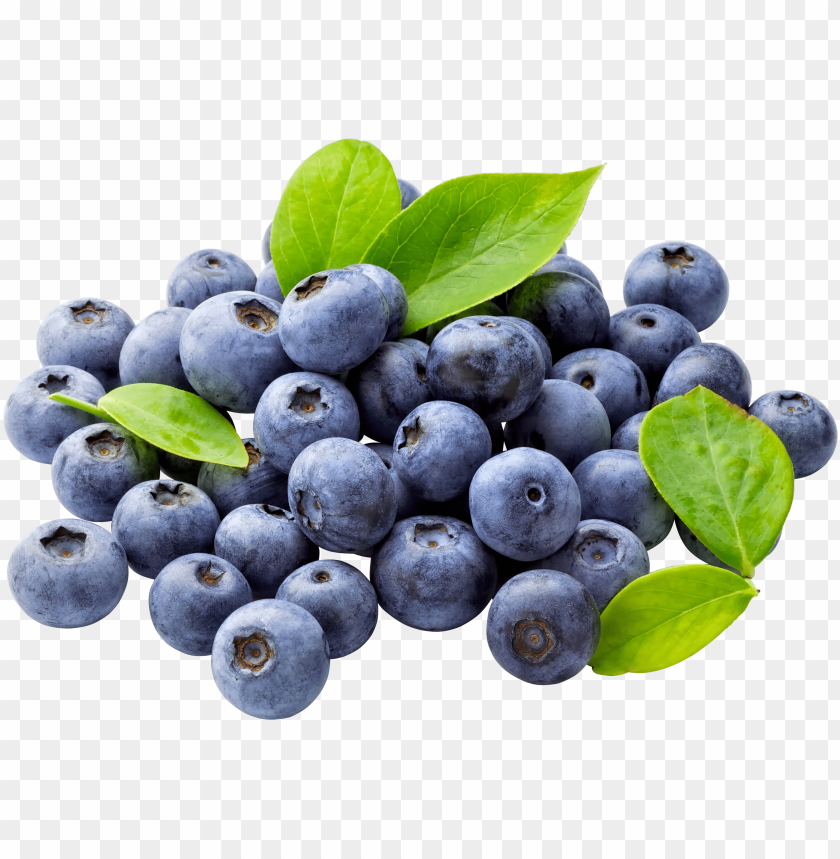 
blueberries
, 
flowering plants
, 
indigo
, 
berries
, 
cyanococcus
