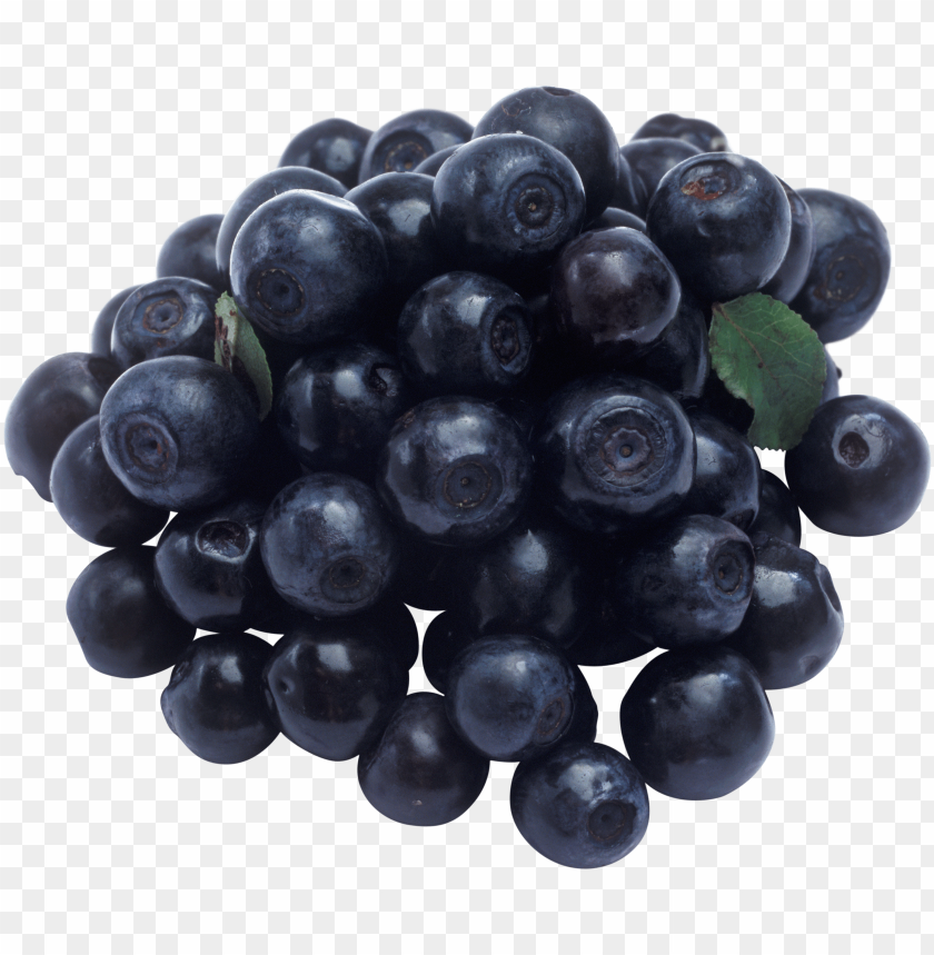 
blueberries
, 
flowering plants
, 
indigo
, 
berries
, 
cyanococcus
