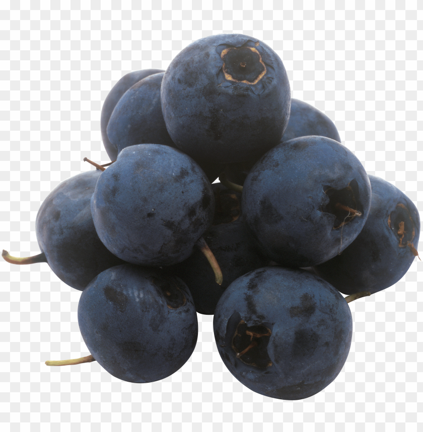 
blueberries
, 
flowering plants
, 
indigo
, 
berries
, 
cyanococcus
