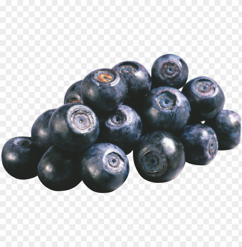 
blueberries
, 
flowering plants
, 
indigo
, 
berries
, 
cyanococcus
