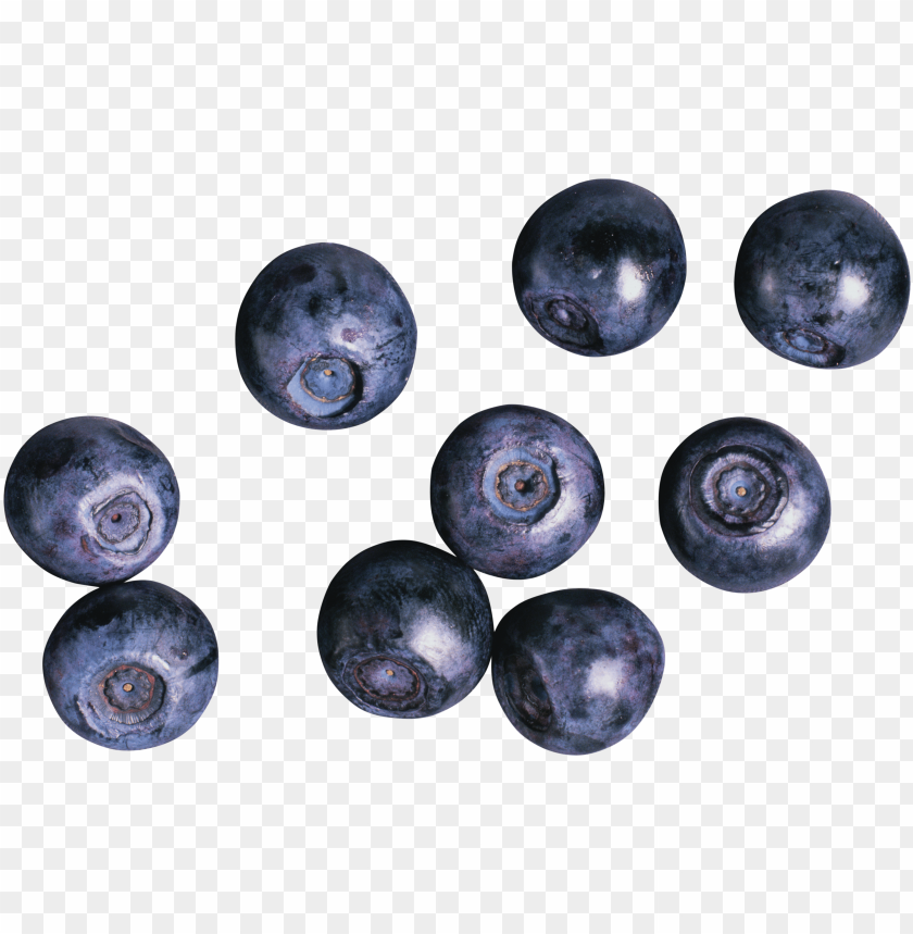 
blueberries
, 
flowering plants
, 
indigo
, 
berries
, 
cyanococcus
