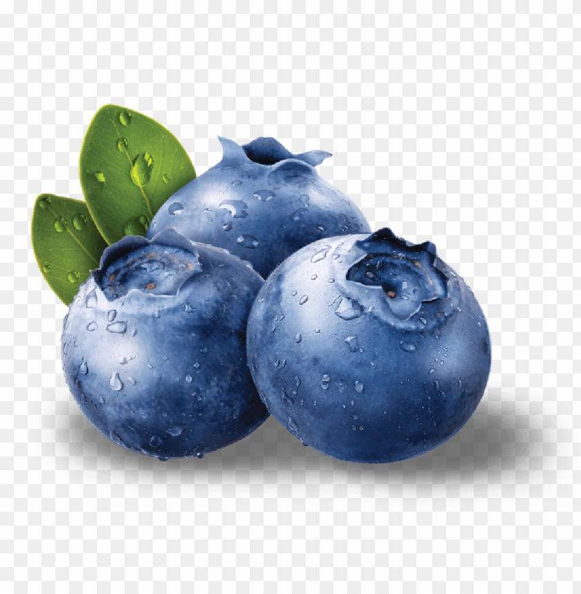 
blueberries
, 
flowering plants
, 
indigo
, 
berries
, 
cyanococcus
