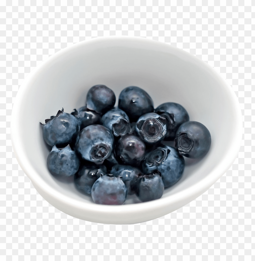 
blueberries
, 
flowering plants
, 
indigo
, 
berries
, 
cyanococcus
