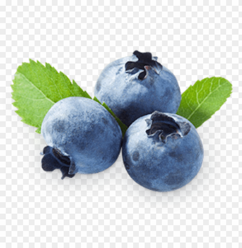 
blueberries
, 
flowering plants
, 
indigo
, 
berries
, 
cyanococcus
