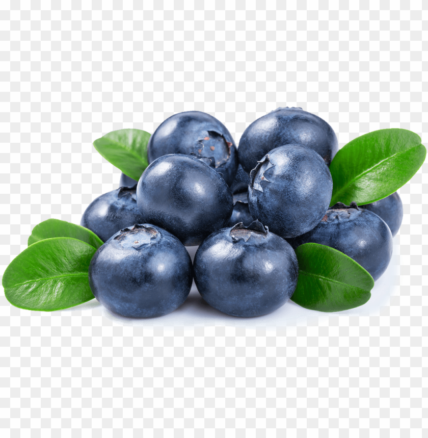 
blueberries
, 
flowering plants
, 
indigo
, 
berries
, 
cyanococcus
