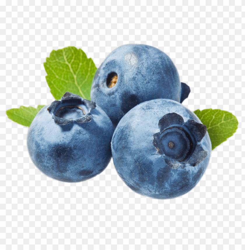 
blueberries
, 
flowering plants
, 
indigo
, 
berries
, 
cyanococcus
