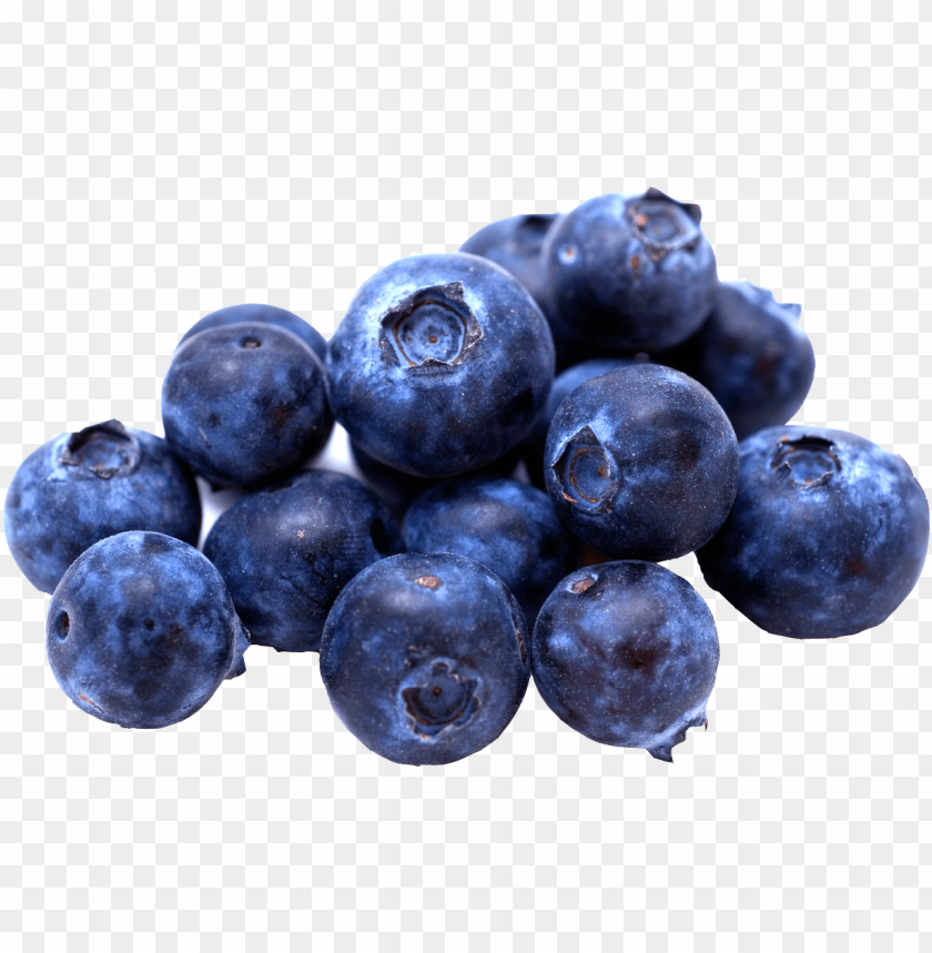 
blueberries
, 
flowering plants
, 
indigo
, 
berries
, 
cyanococcus
