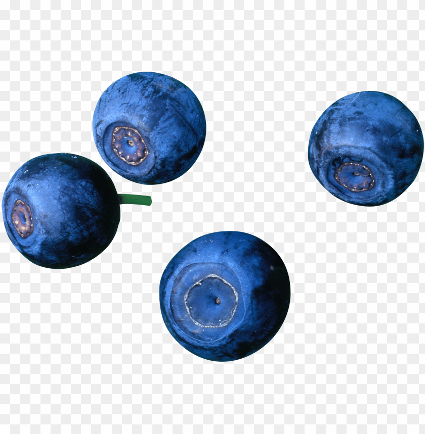 
blueberries
, 
flowering plants
, 
indigo
, 
berries
, 
cyanococcus
